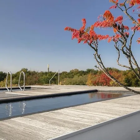 Ultra Luxury Penthouse With Pool Apartment *